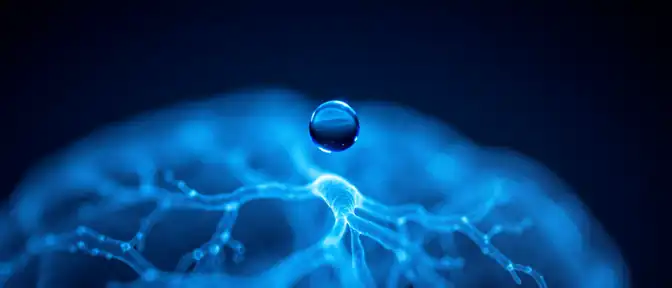 Ученые Института биохимической физики имени Н.М. Эмануэля РАН нашли способ комплексной стимуляции регенерации мозга